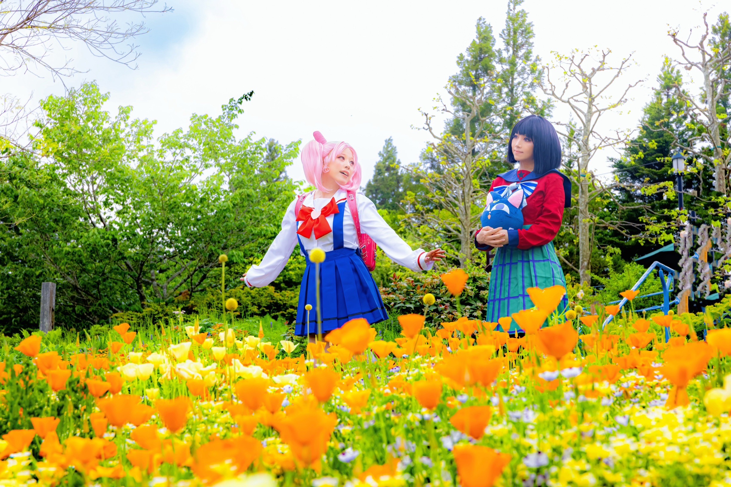 びわ🐼18志摩ｺｽ🥦 on X: 