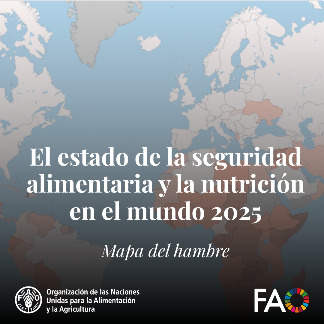 Entre 638 y 720 millones de personas padecían hambre en 2024.

El Mapa del Hambre de la FAO presenta las últimas estimaciones sobre el hambre y la inseguridad alimentaria en cada país.

🗺️fao.org/interactive/hu…

#SOFI2025 #MapaDelHambre