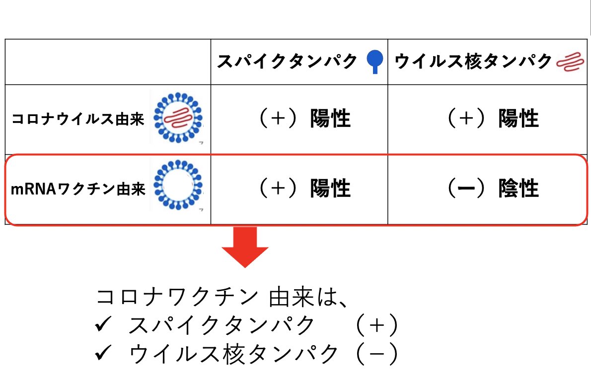 rocio0825's tweet image. 【帯状疱疹の患部にワクチン由来の成分】…