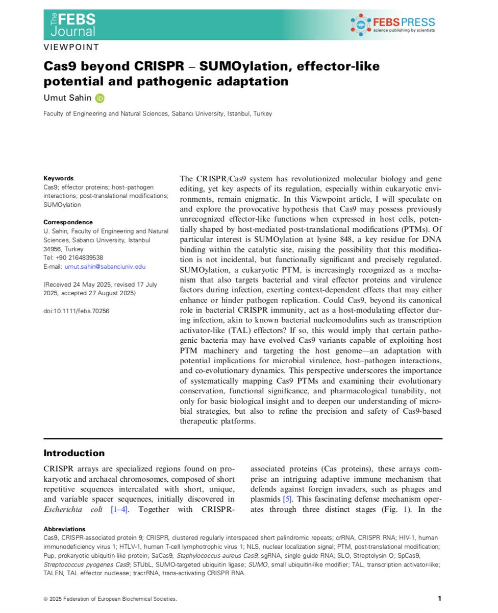 Umut Sahin tweet media