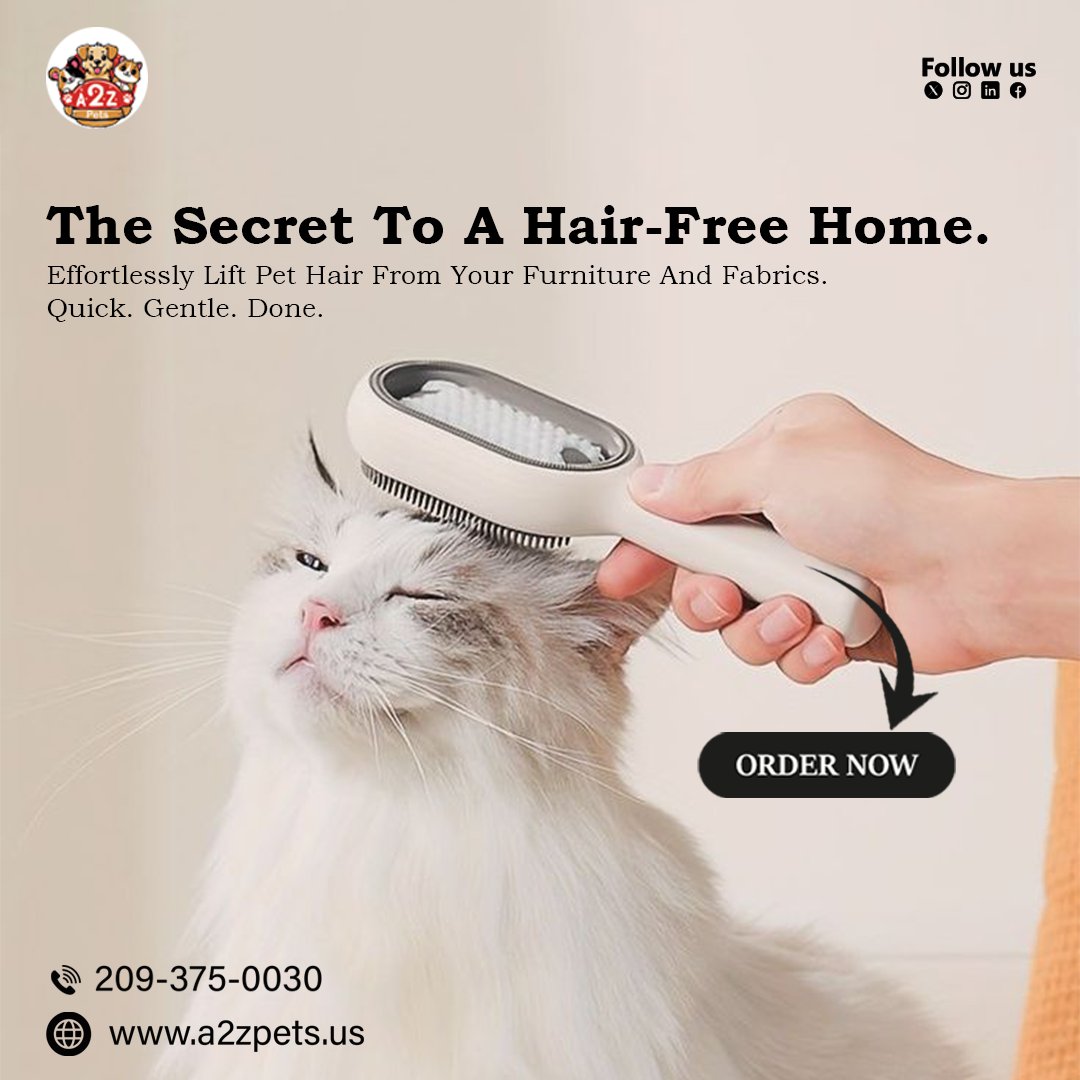 a2z_supplies's tweet photo. Our cat hair brush is the ultimate secret weapon for a cleaner home and a happier, healthier cat. Make de-shedding a breeze, not a battle!

#CatGrooming #SheddingSolution #LessHairMoreLove #CatBrush #CatEssentials #GroomingHacks #HappyCat #CleanHome #CatLife #A2ZPets https://t.co/vr2KFvdIlJ
