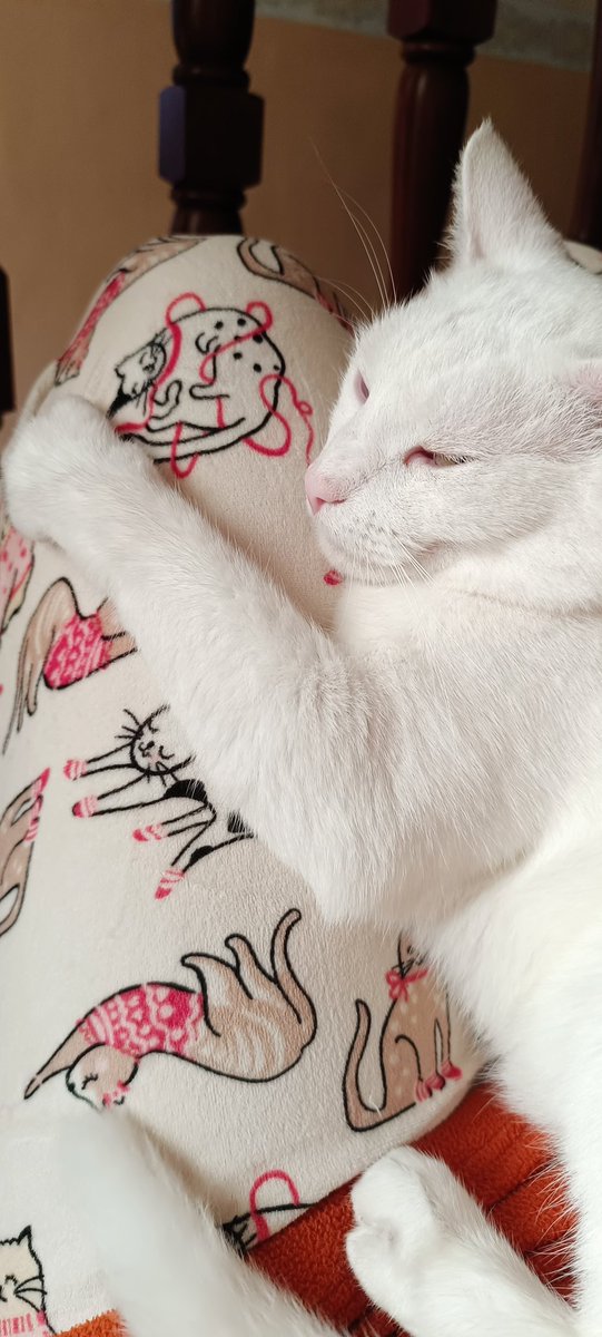 Azazel_A_R's tweet photo. Mаmа's boy 💕 https://t.co/D4HNBN4yT0