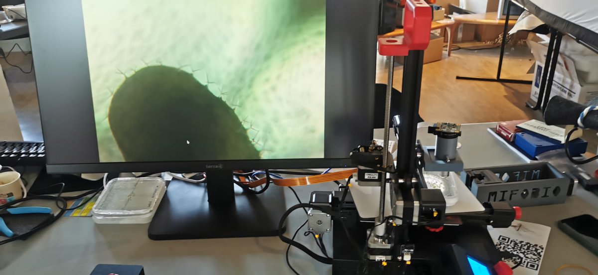 cnrs_ibmp's tweet image. A great day at #Mifobio2025! 🌱🔬
From seed germination to Arabidopsis leaves and zebrafish hearts, our team explored the fascinating diversity of living systems with the EnderScope, pushing the limits of live imaging during this inspiring edition !
@CNRS_Alsace @bruker