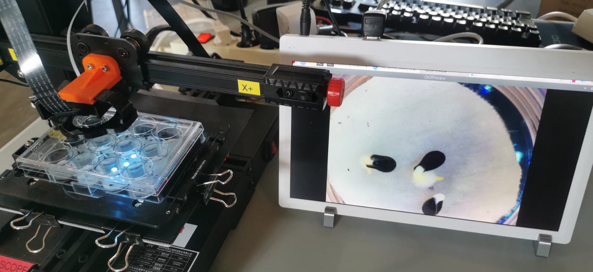 cnrs_ibmp's tweet image. A great day at #Mifobio2025! 🌱🔬
From seed germination to Arabidopsis leaves and zebrafish hearts, our team explored the fascinating diversity of living systems with the EnderScope, pushing the limits of live imaging during this inspiring edition !
@CNRS_Alsace @bruker