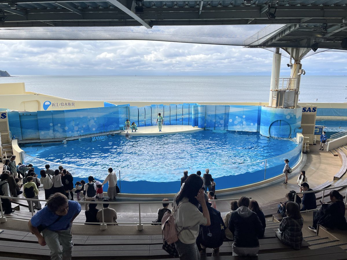 ritfw_'s tweet photo. ちょっと海岸で一服して来た
#enosui_com https://t.co/reBbHkFDEt