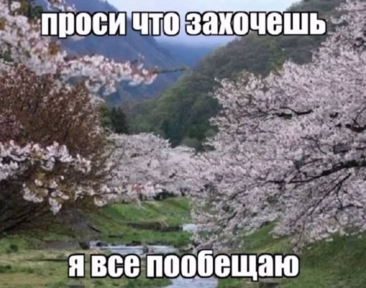 Дмитрий v3.5.0 (@total_pessimist) on Twitter photo 