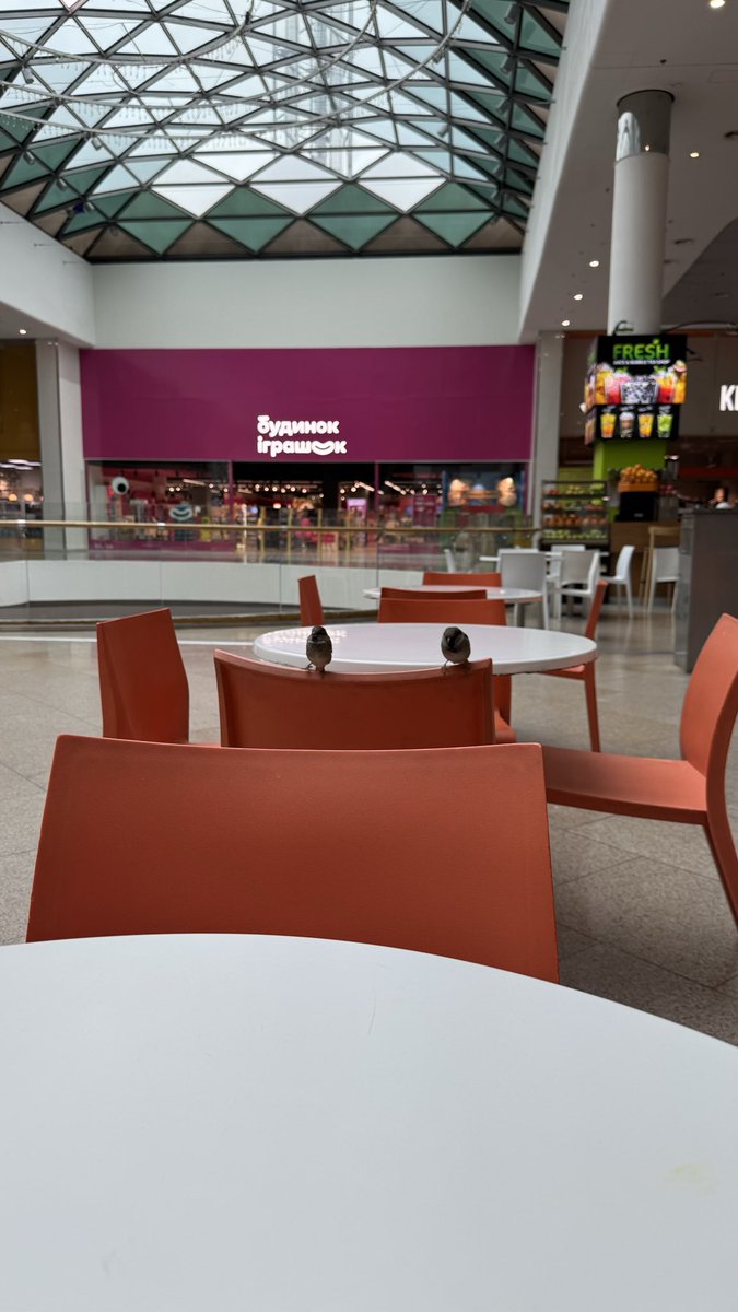 Ocean Plaza виявляється pets friendly