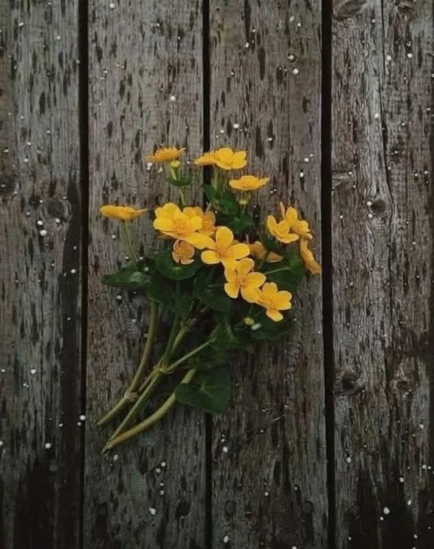 ........... 

... Ey benim güzel Mevlam. 

Benim senden istediklerimi değil ... 
Senin bende görmek istediklerini yaşat bana ...!!!

       ..🤲🏻🥀✨💫🌻🌾🍃🍂.. 

Ⓜ️..........