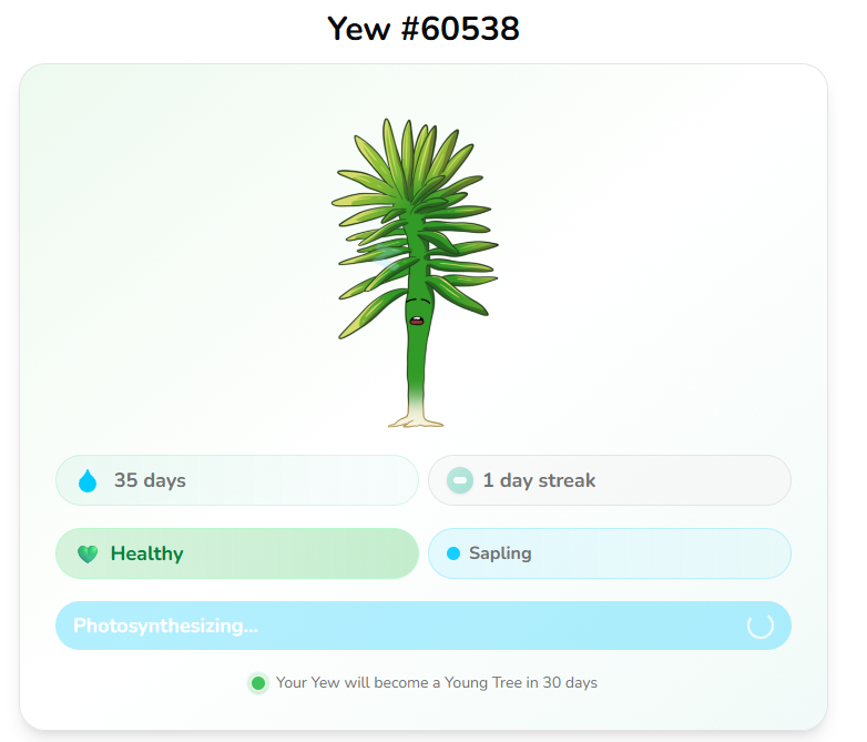 APT官方明奶项目：<a href="/APTreeio/">APTree</a>  终于到第三形态了~

每天都在浇水 梦回QQ空间种菜时代~
APTree 这个项目就包含了整个APT生态的交互
一鱼几十吃  
这段时间我一直都在推荐关注 <a href="/Aptos/">Aptos</a>  生态

入口：aptree.io/ref/bea34fd7 
教程在引文~
#Aptos #APT <a href="/KaitoAI/">Kaito AI 🌊</a>