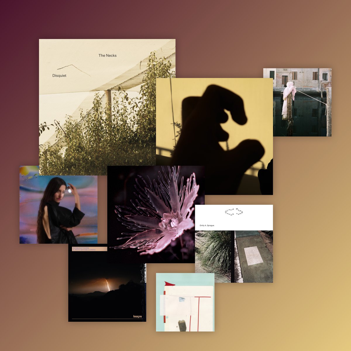 🎧
The Necks - Disquiet
Suzan Peeters - Cassotto
Dania - Listless
Eefje de Visser - Vlijmscherp
Seabuckthorn - A Path Within A Path
Emily A. Sprague - Cloud Time
Savvas Metaxas - Magnetic Loops IV
The Humble Bee - morning music (remastered)

#nowplaying