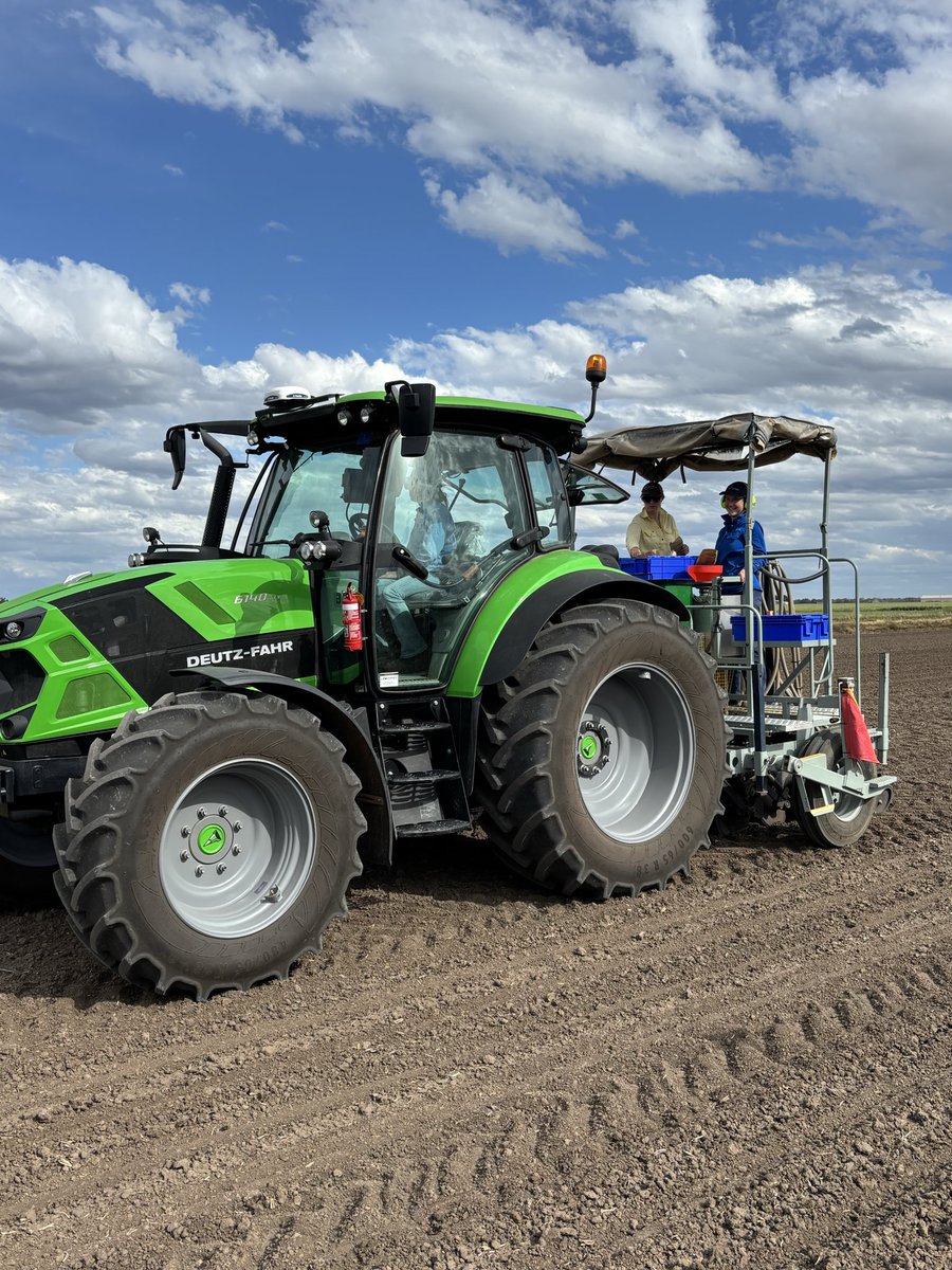 Rice Breeding Australia tweet media