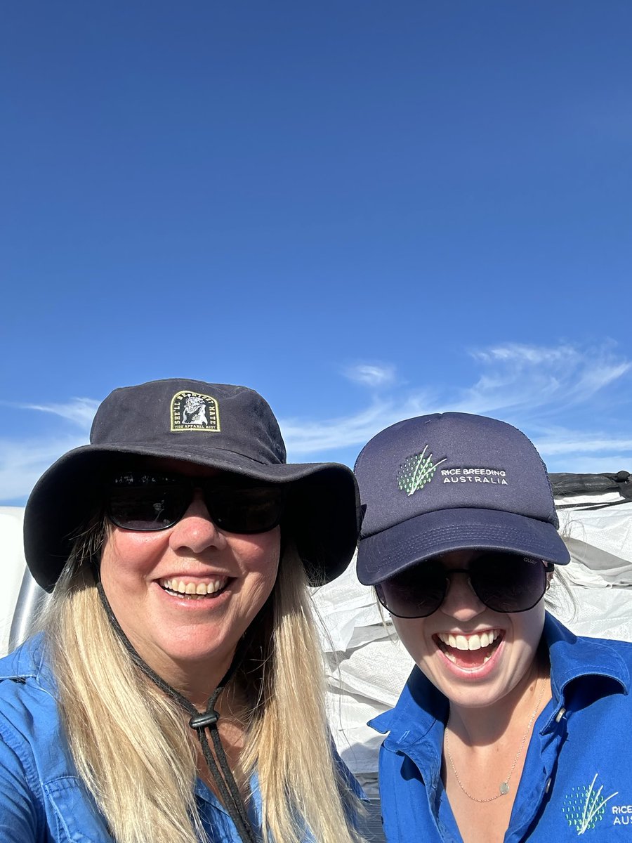 Happy international day of rural women 🩷

#ruralwomen #womeninag #womeninagriculture  #womeninrice #rice