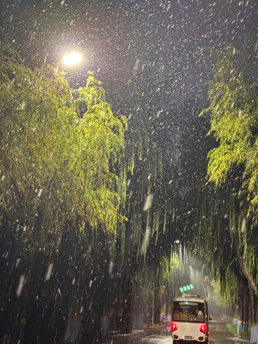 yy_30_8's tweet photo. 下雪啦 https://t.co/26Wa3HGXsk