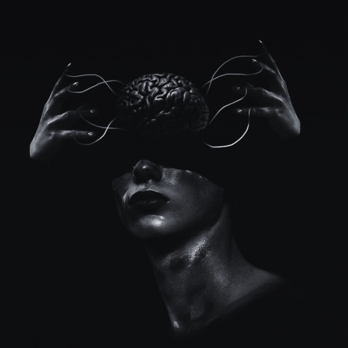 BasedBiohacker's tweet image. while primarily used (off-label) for acute cognitive enhancement, wakefulness, attention, and focus
modafinil's ability to enhance neuroplasticity, promote neurogenesis, and act neuroprotective cannot be overlooked.
let me explain what this means in practice, because it is…