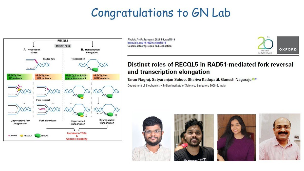 BICS_IISc's tweet image. Many congratulations to GN lab for their recent publication in Nucleic Acids Research!😃🧬 👏✨
@nagraj_tarun @im_SrS_ @nganeshiisc Read the paper here: doi.org/10.1093/nar/gk…