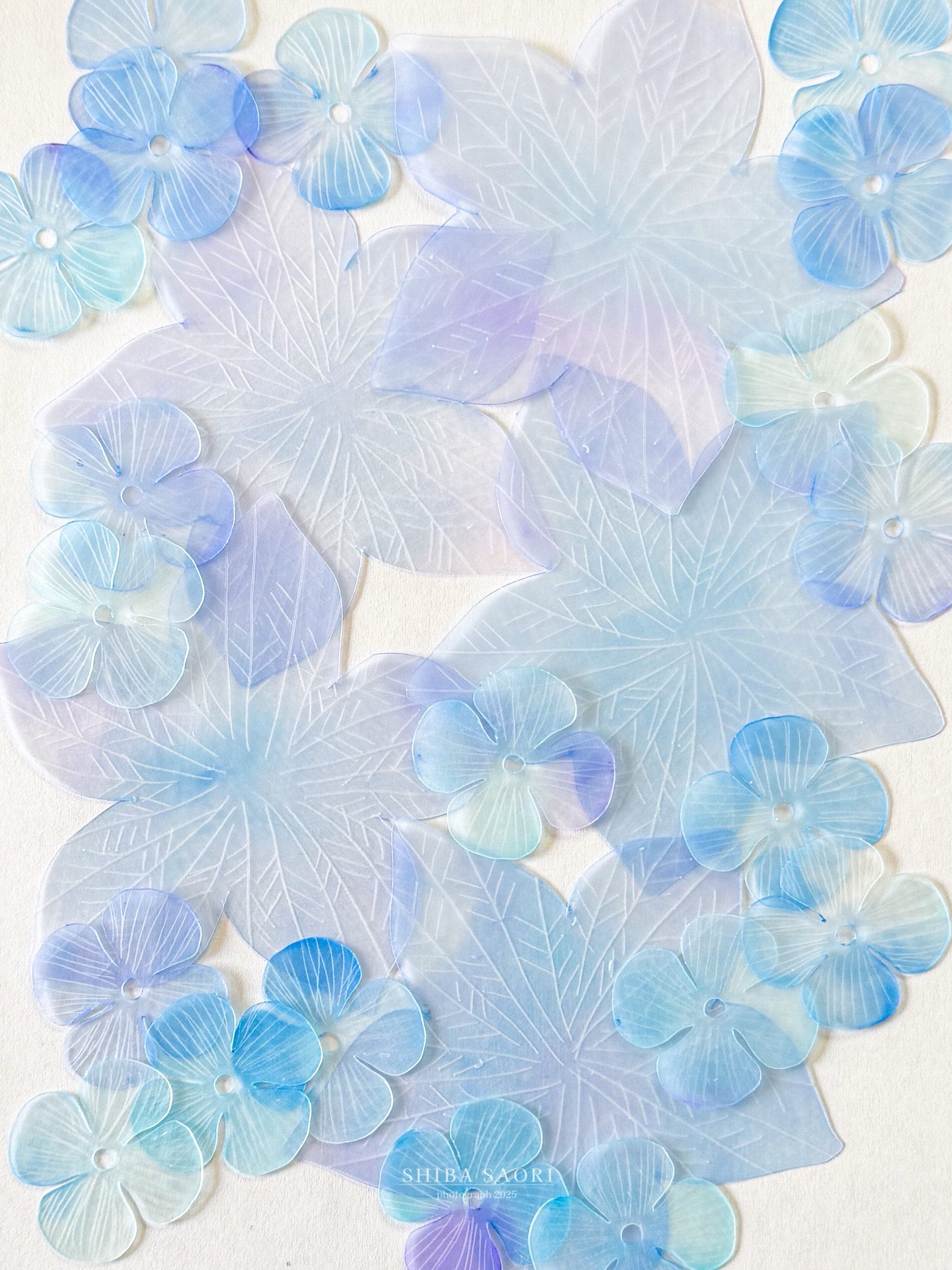 Posts with replies by しばさおり (@koshiba0822) / X