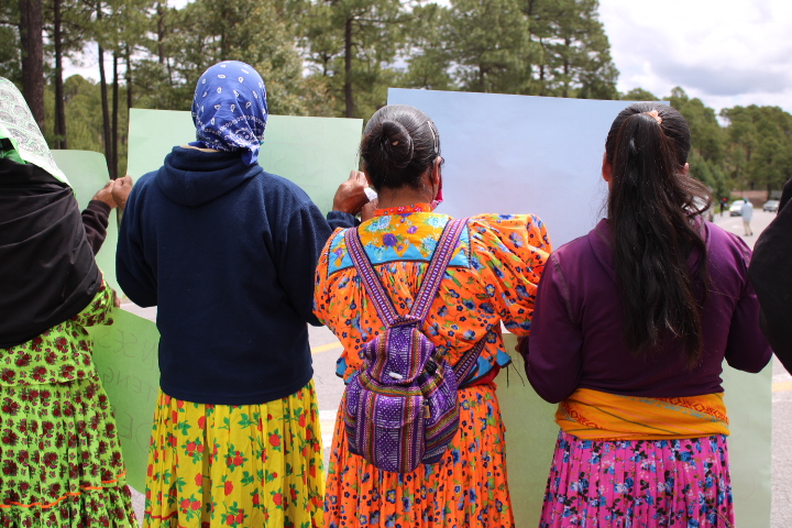 🌾Rural women grow food, defend land, and lead change.

On #RuralWomenDay, we stand with the women defenders protecting land, water &amp; communities  - often at great personal risk.

Their leadership keeps communities alive. It’s time the world matched their courage.