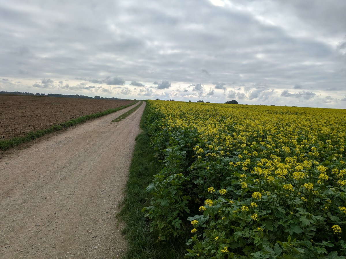 Jo van de Rijdt tweet media
