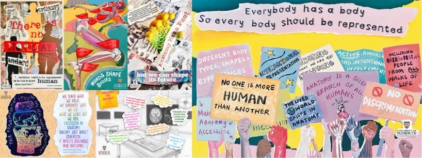 On #WorldAnatomyDay we’re reflecting on representation in anatomy education  

To spark reflection and conversation, we’ve created a series of free posters, beautifully illustrated by a local artist, based on the our Inclusivity in Anatomy project data: xerte.plymouth.ac.uk/xerte/play.php…