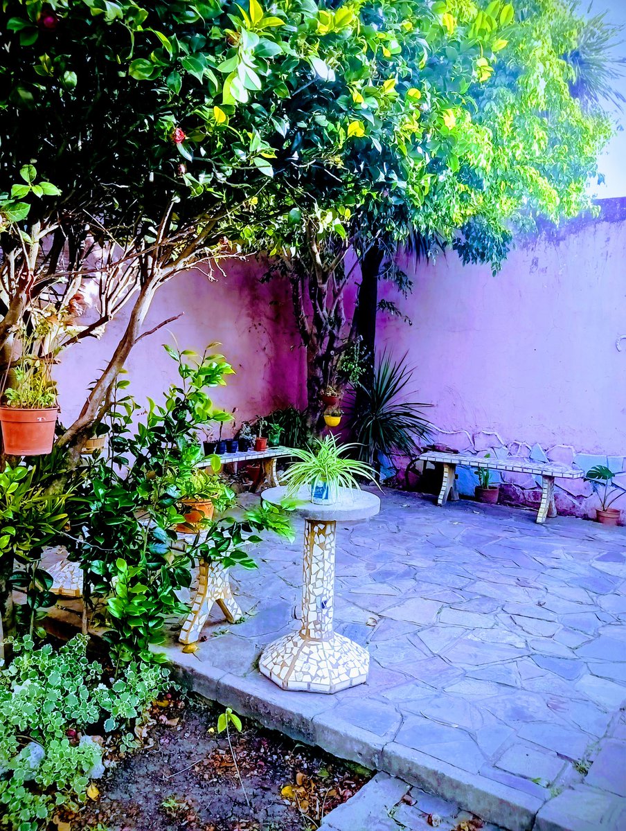 Vervanvil ✌🏼 (@vervanvil) on Twitter photo Este rincón estuvo quieto mucho tiempo. Lo fuimos despertando poco a poco. Maceta por maceta, brote por brote, como si al cuidarlo también nos acomodara por dentro.
El jardín está floreciendo🍃
Y creo que nosotros también.
Gracias <a href="/calamarunico/">Calamar (ex LeoCalamar)</a>
por ayudarme a hacerlo posible.❤️ Este rincón estuvo quieto mucho tiempo. Lo fuimos despertando poco a poco. Maceta por maceta, brote por brote, como si al cuidarlo también nos acomodara por dentro.
El jardín está floreciendo🍃
Y creo que nosotros también.
Gracias <a href="/calamarunico/">Calamar (ex LeoCalamar)</a>
por ayudarme a hacerlo posible.❤️