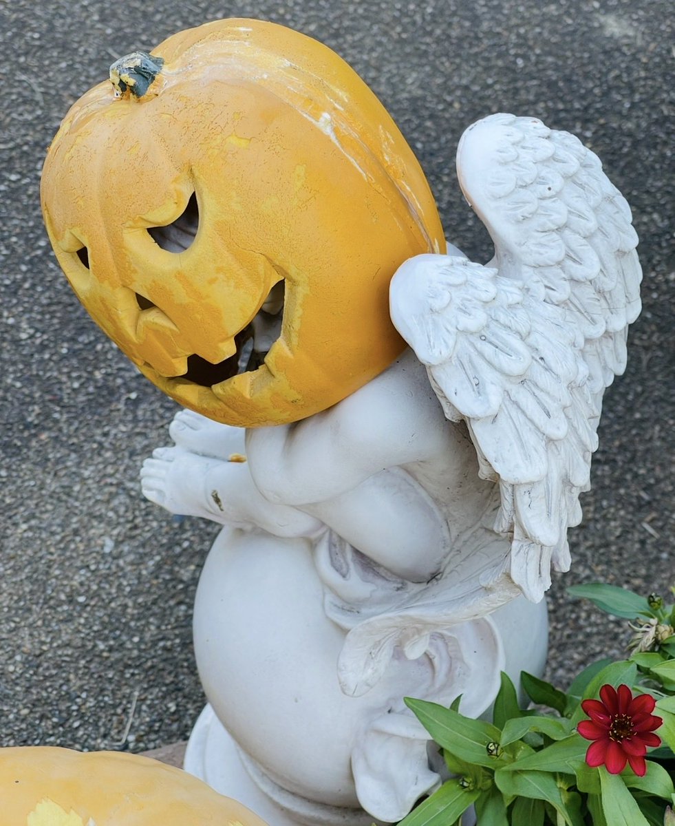 ❅ 𓈒◌°.。𝐘𝐮𝐤𝐢𝐧𝐨 ❅ 𓈒◌°.。 on X