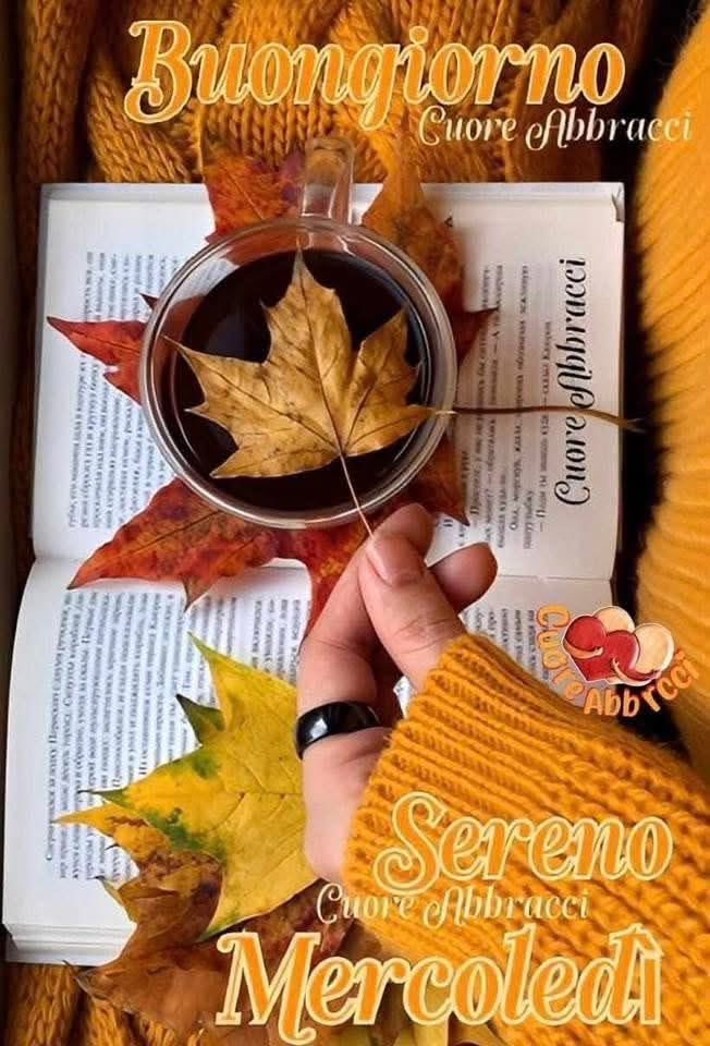 RITABIANCHi56 tweet media