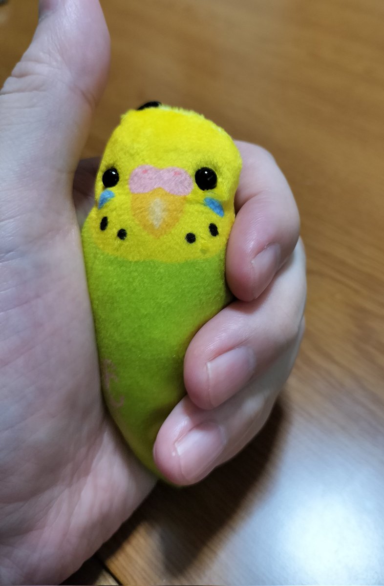 ガチャでゲットした、にぎにぎセキセイ。これは良い！！