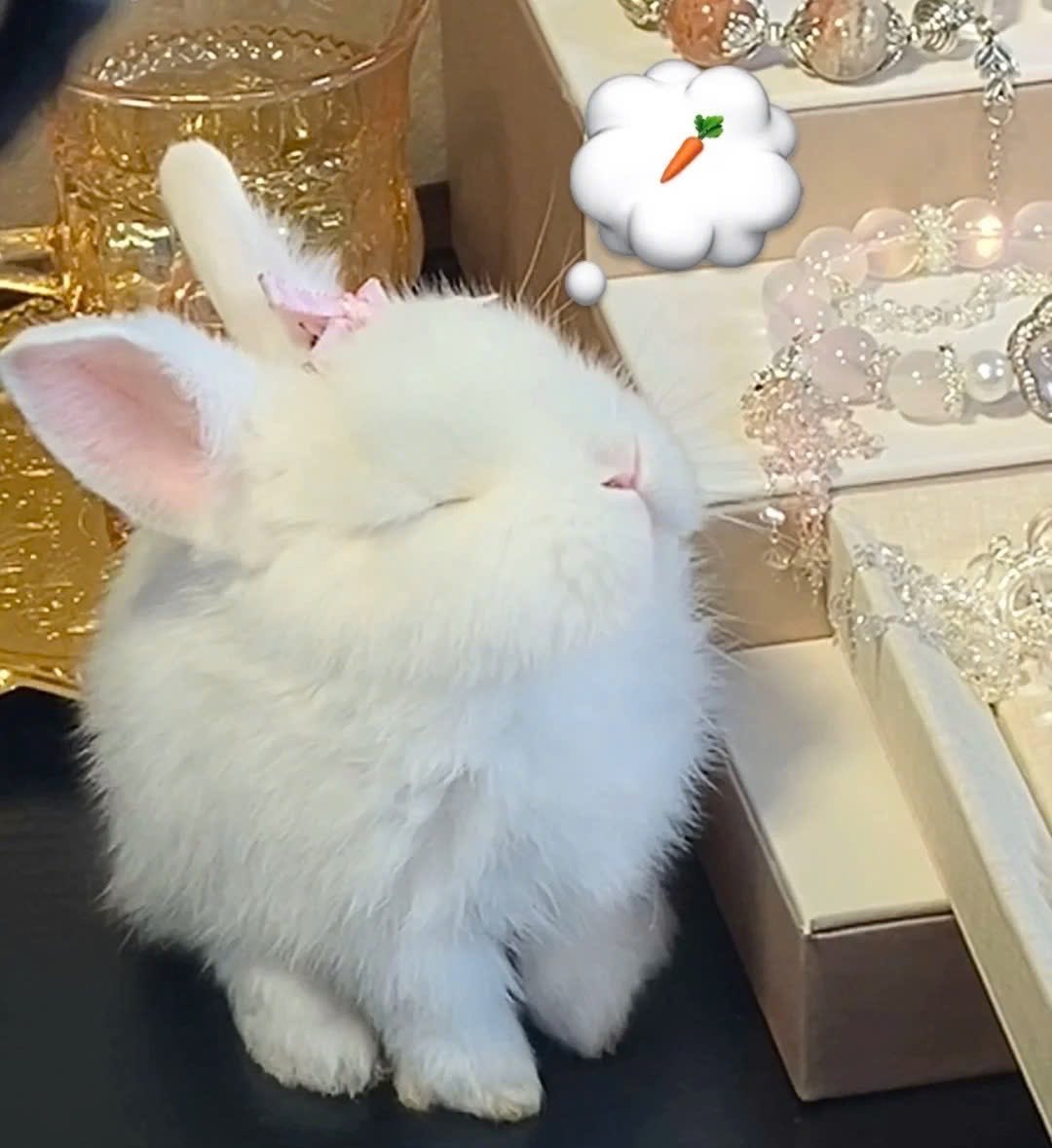 แล้วจิ้ดถึงของกินจริงๆ ไหมน้อ