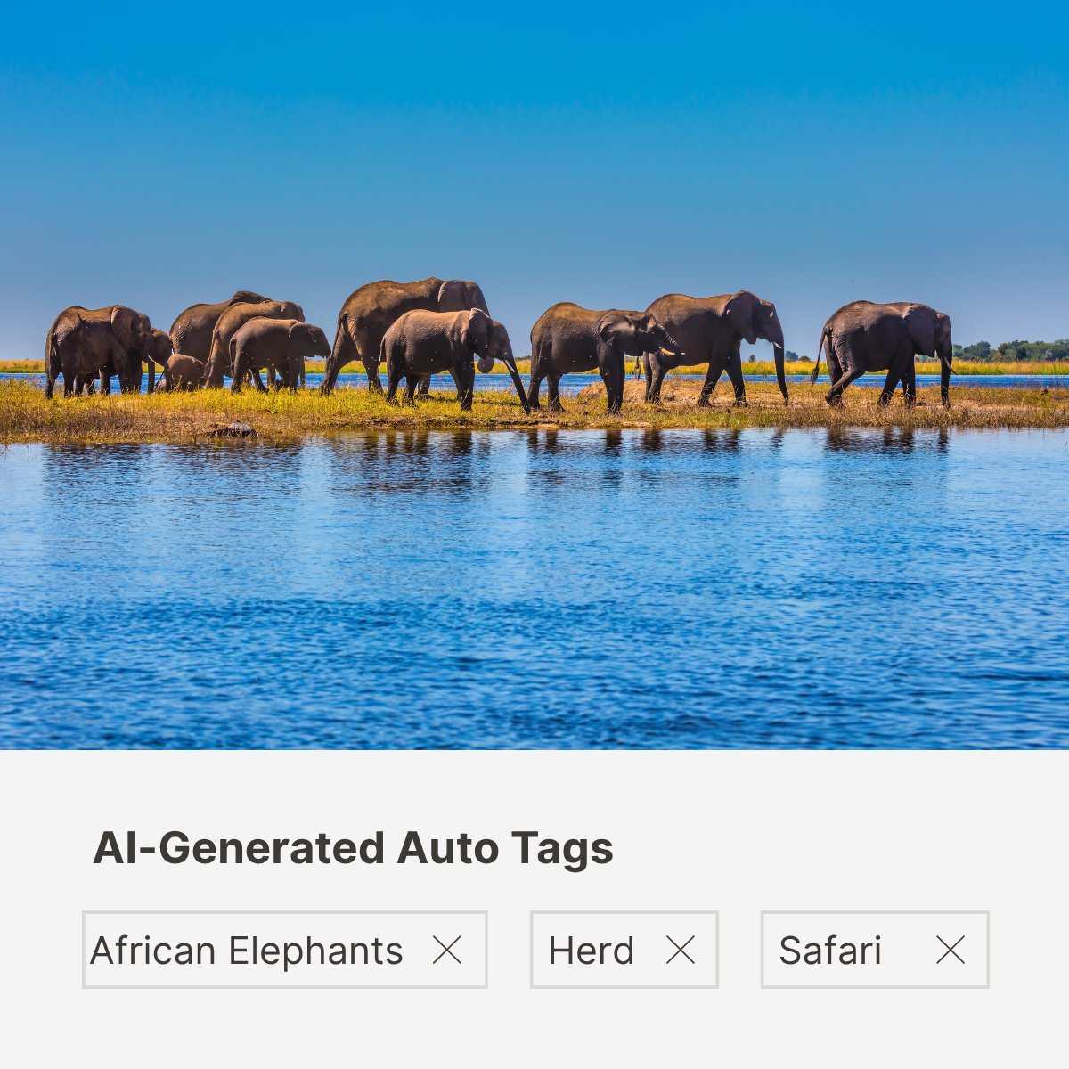 Asset Bank tweet media