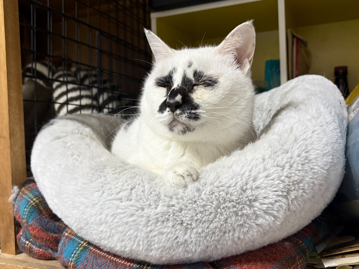 素人は黙っとれ────