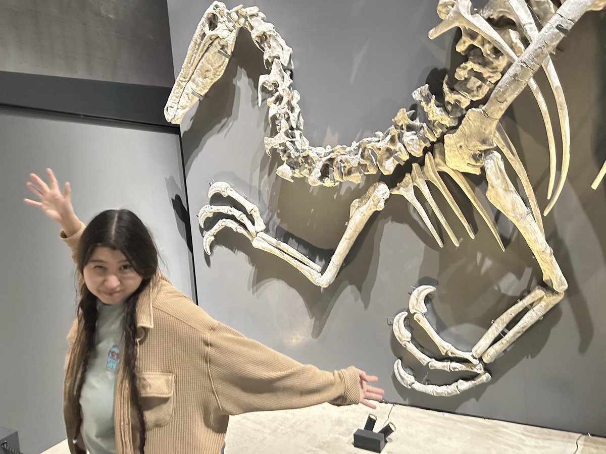 Podokesaurus Project tweet media