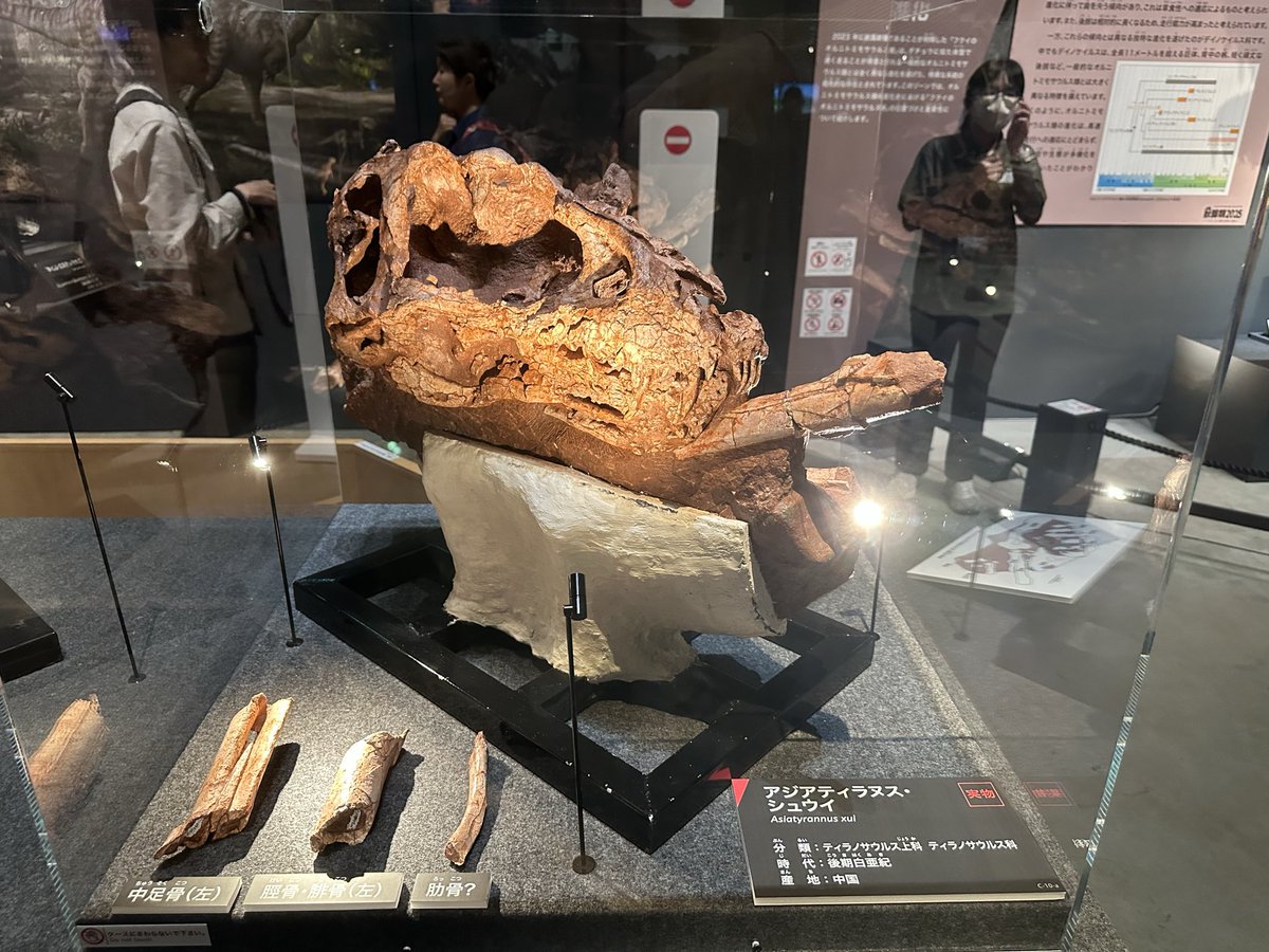 Podokesaurus Project tweet media