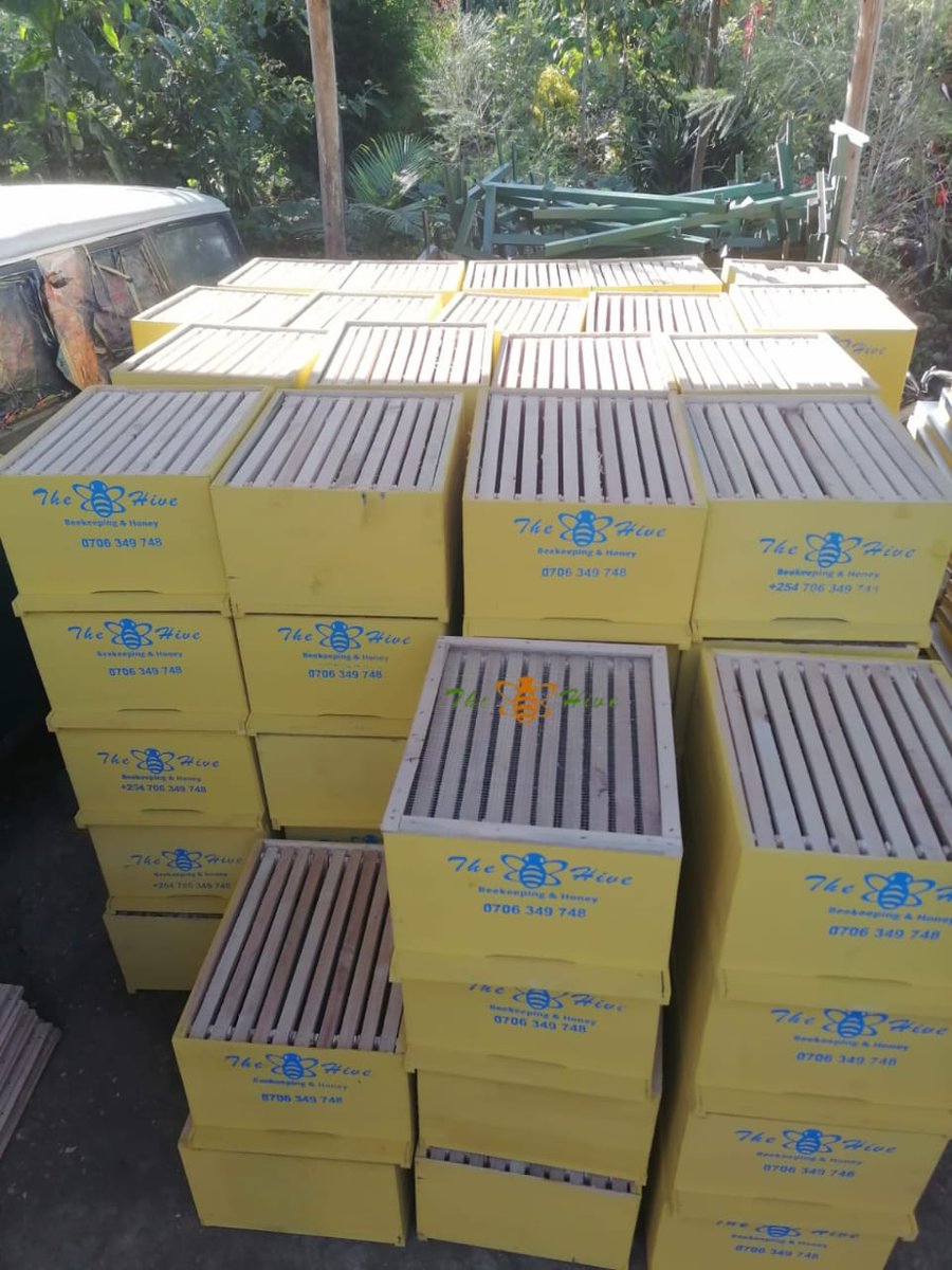 TheHiveLimited's tweet image. Successful delivery of 100 #Langstroth hives &amp;amp; #hivestands to a client’s farm in #Naivasha. 

At The Hive we deliver to your #farm while helping you secure a ready market for your #honey, #propolis &amp;amp; #pollen.
📞 +254706349748
✉️Beekeepers@thehive.co.ke 

#thehive #beekee