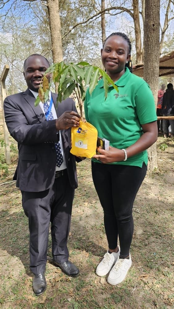 On Oct 13, 2025, @GreeningAfrica &amp; @HousingFinanceBank launched a tree planting campaign in Kooki during the Kooki Kingdom Cultural Day! 

Together, we’re restoring nature, empowering communities, and growing a greener Uganda. 

#GreeningAfrica #TreePlanting #ClimateAction