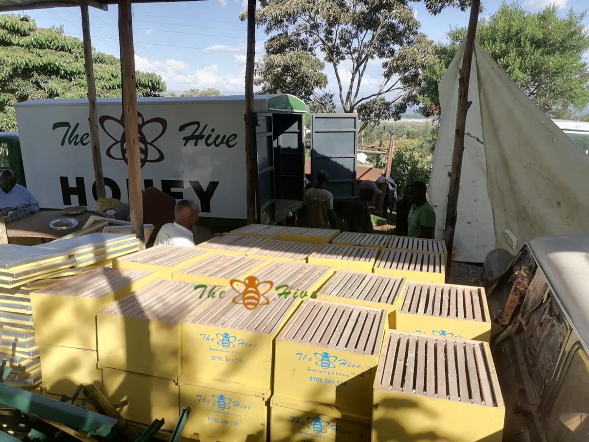 TheHiveLimited's tweet image. Successful delivery of 100 #Langstroth hives &amp;amp; #hivestands to a client’s farm in #Naivasha. 

At The Hive we deliver to your #farm while helping you secure a ready market for your #honey, #propolis &amp;amp; #pollen.
📞 +254706349748
✉️Beekeepers@thehive.co.ke 

#thehive #beekee