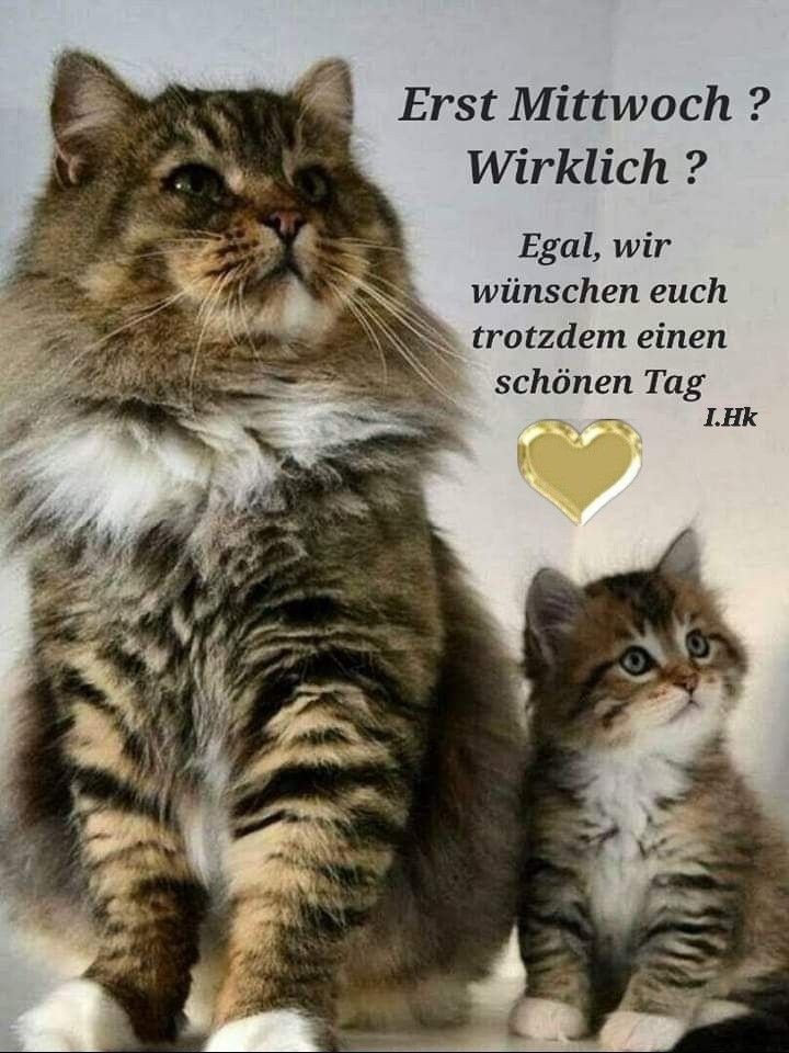 Habt einen entspannten Wochenteiler 🙂 Das Wochenende nähert sich langsam. Also durchhalten und passt gut auf Euch auf 😌☕️🍃🍁🍂🌿