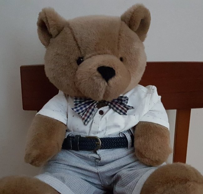 Emergency Teds© 🇺🇦 tweet media