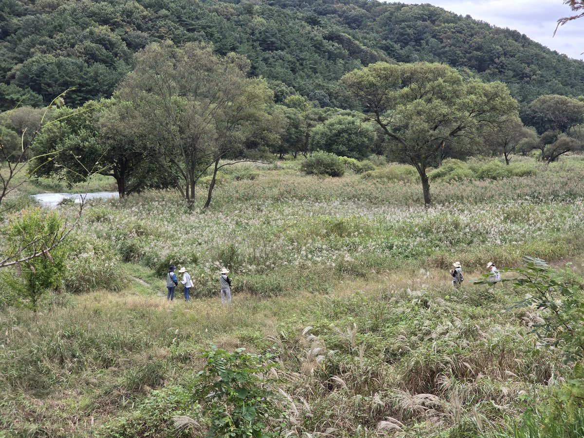갑천국가습지보호구역
엄청 아름답잖아!!