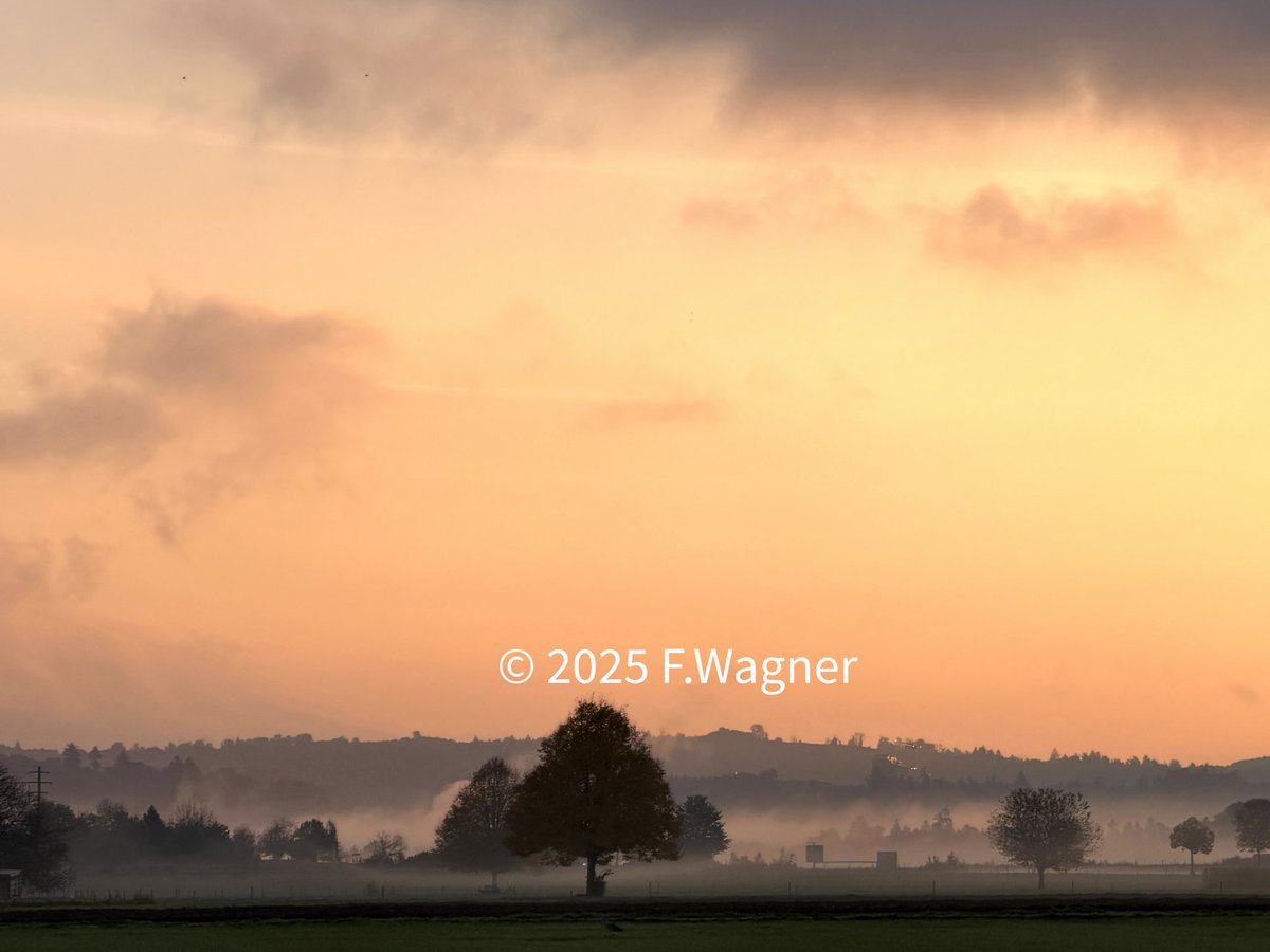 Guten Morgen Zusammen, es herbstet
eindeutig.

Good morning, autumn is definitely coming