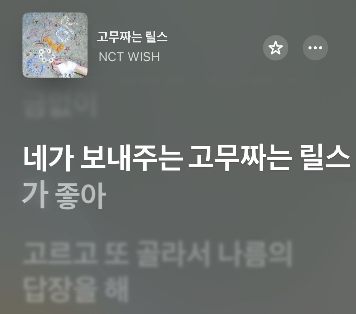 하루종일 고무짜는릴스 보는중