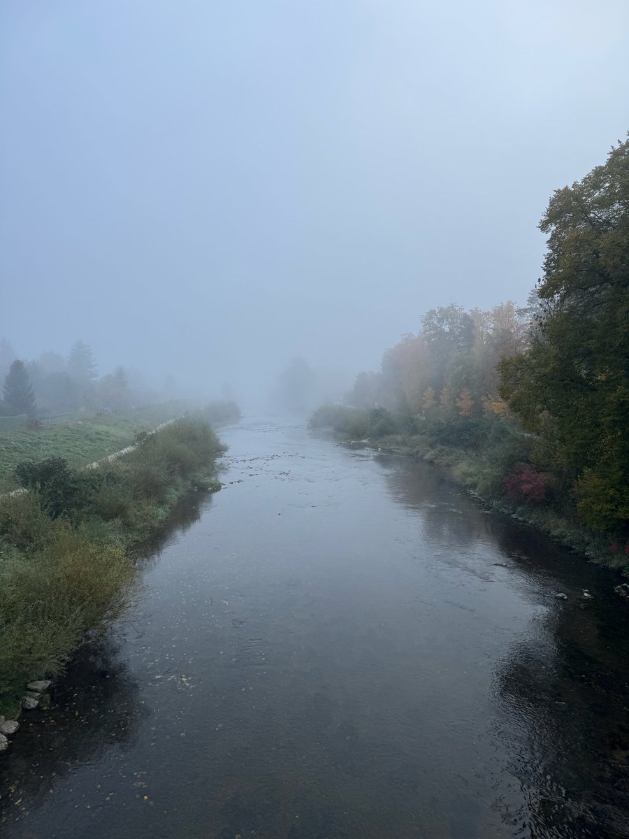 Morgenspaziergang in Bayern.🌫️