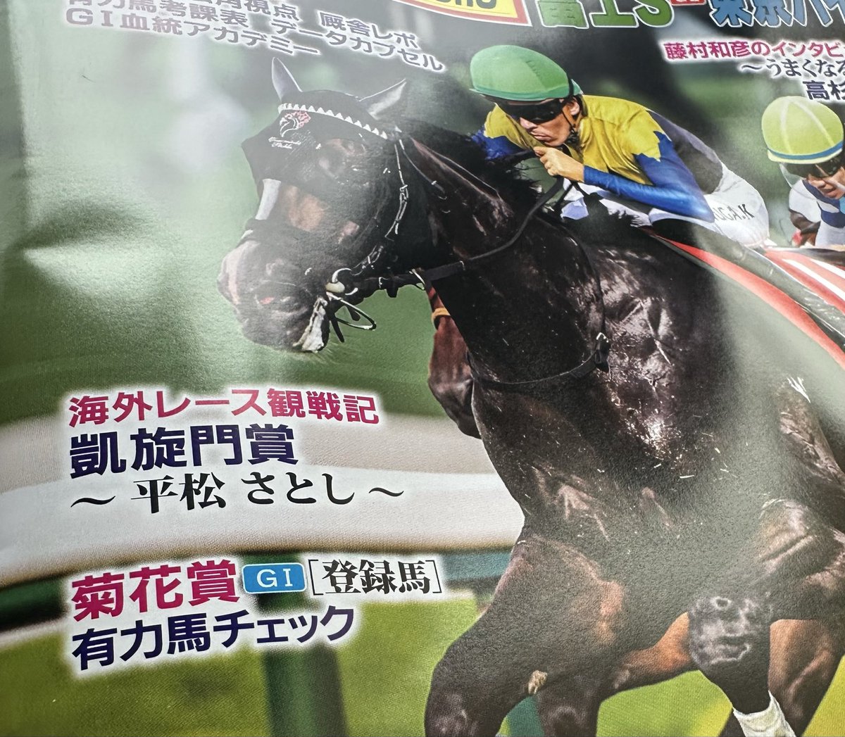 傘松と馬 人気デザインのメンズ長傘！晴雨兼用雨傘8本骨65cm(ジャンプ傘)