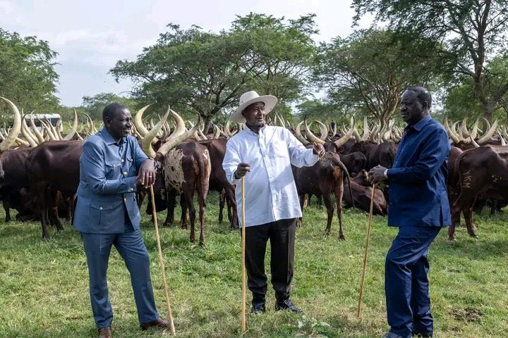 isaacmukiibiSnr's tweet image. As Ugandans, we never liked seeing you dine with our oppressor, Museveni but we still recognize your lifelong struggle for democracy. Rest in peace, Raila Odinga🕊️