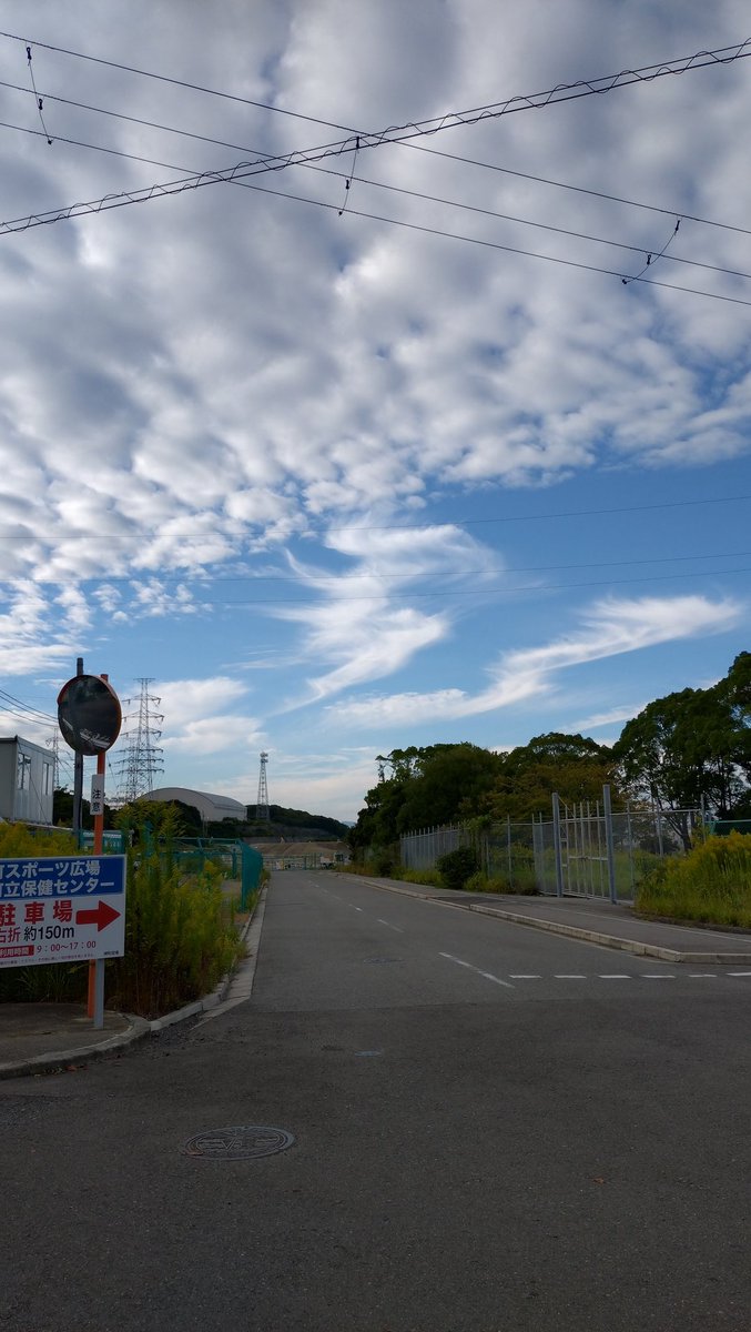 funkfunkfunk3's tweet image. そうか今日は🍄キノコの日かぁ〜🍄‍🟫キノコを食べよう #MMM765 #皿田きのこ