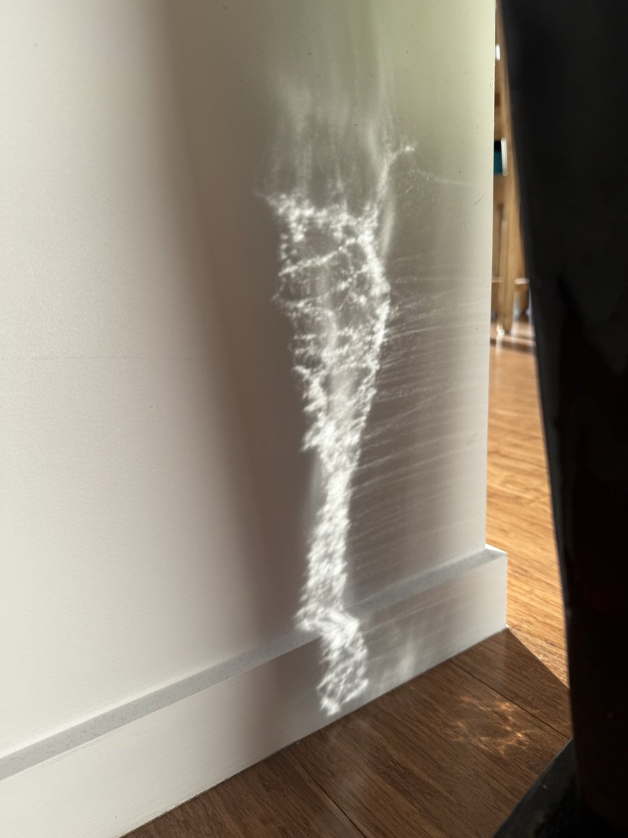 Paolo Selva tweet media