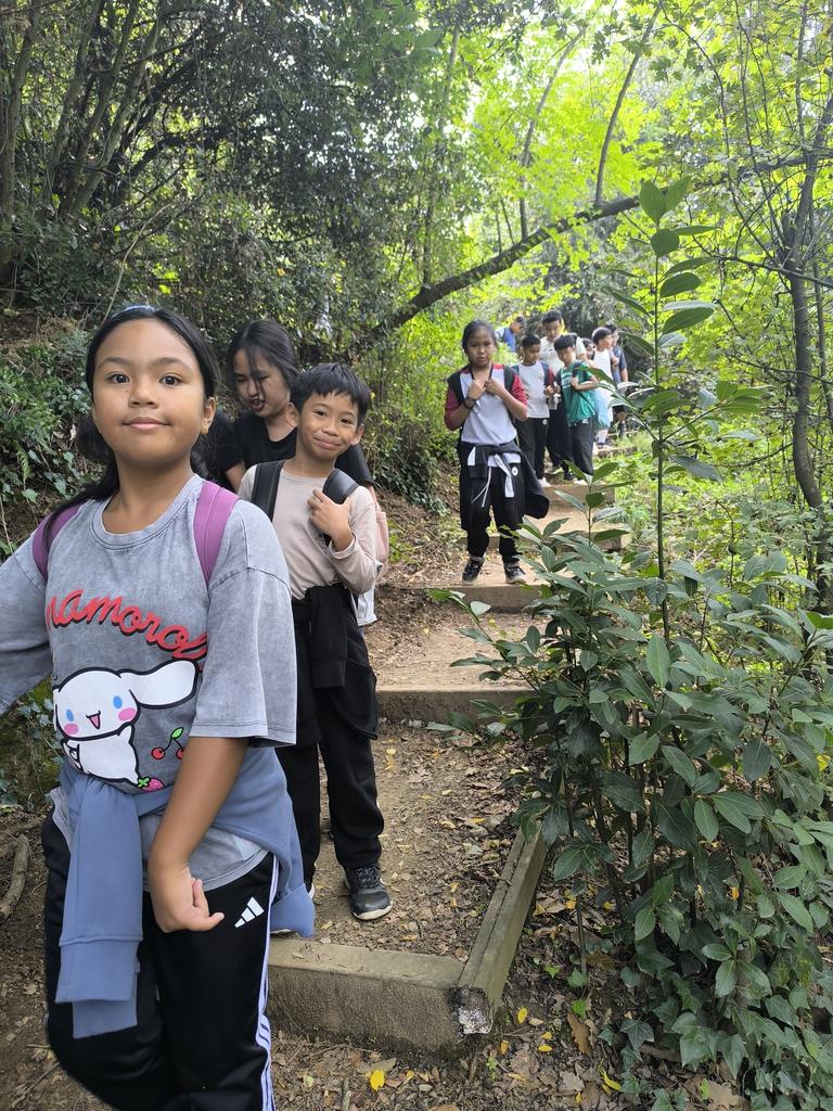 vedrunaangels's tweet image. Passejada a la font de la Budellera a Collserola. Dia de natura i convivència. #3rcicle #sortides #intensament #escolacompetent