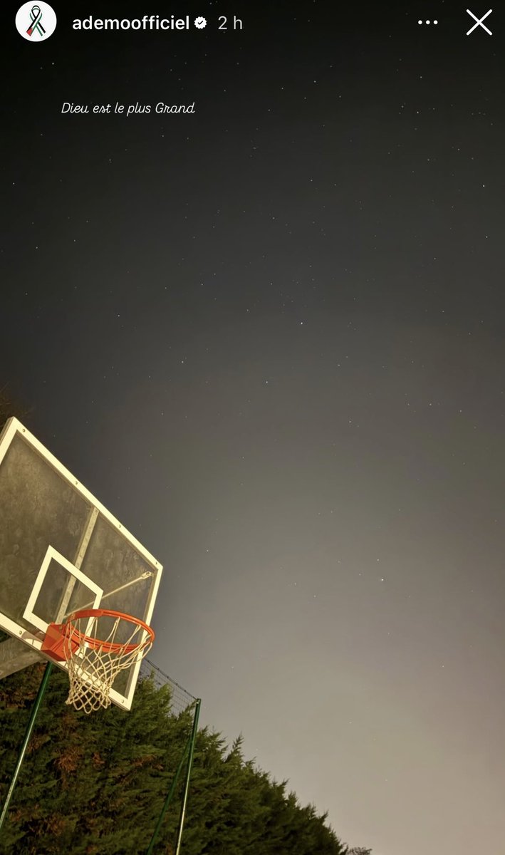 PNL🌪️🌍 tweet media