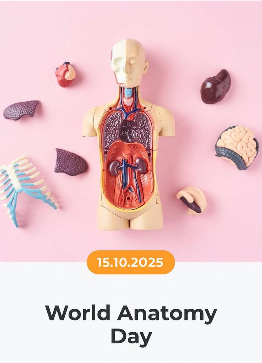 Happy World Anatomy Day to all the Anatomist, Educators, and students of the Human Body!