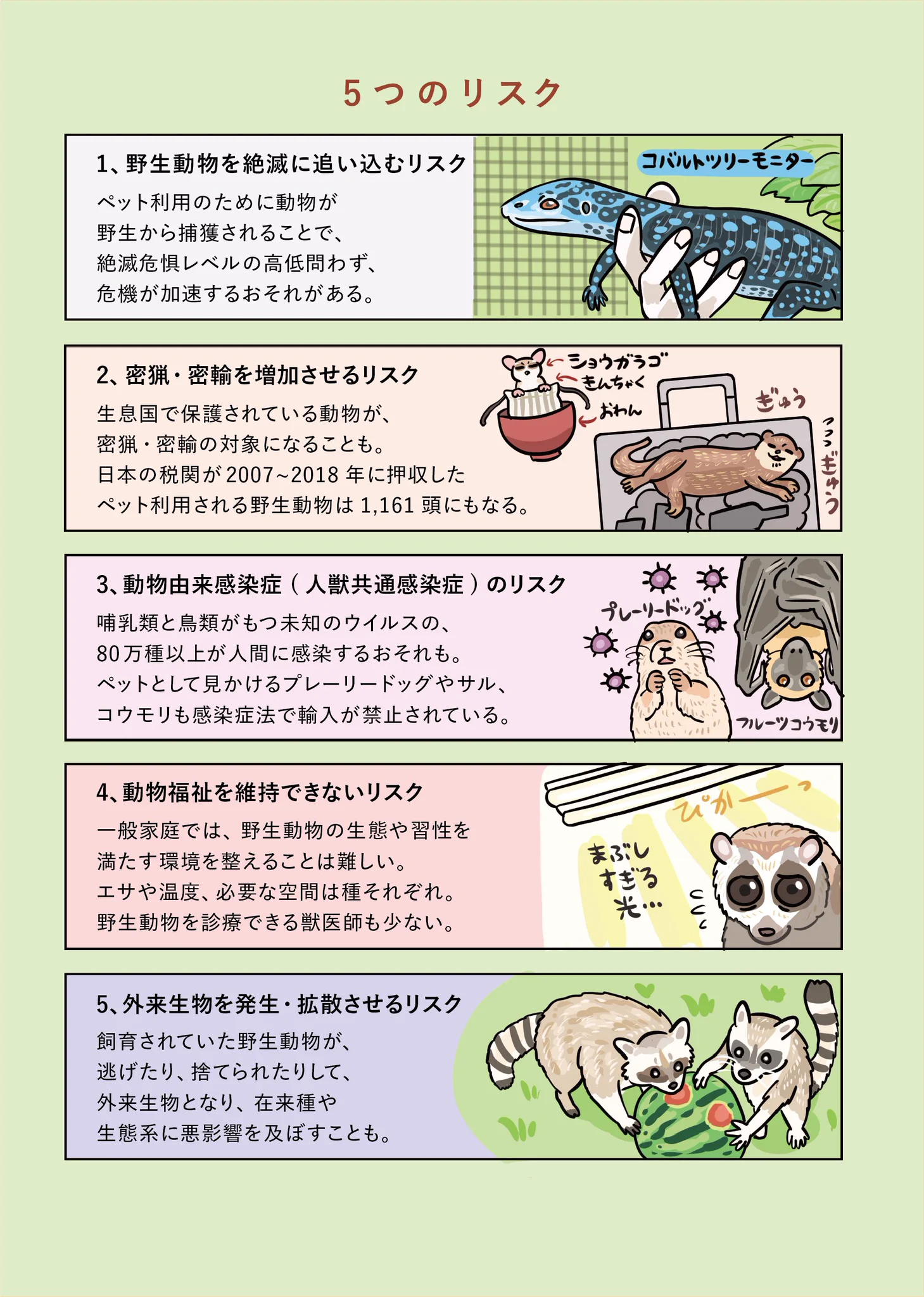 WWFジャパン on X: 