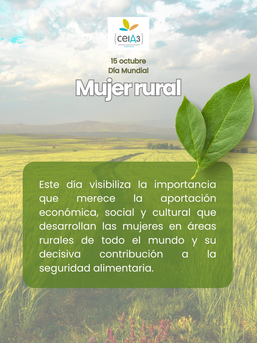 👏Hoy #15octubre celebramos el #DíadelaMujerRural que visibiliza la importancia del papel de las mujeres en el entorno rural y la aportación económica, social y cultural👩‍🌾

👉Suponen 1/4 parte de la población mundial
👉Producen la 1/2 del sustento alimenticio del planeta